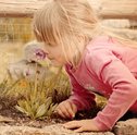 Conheça Algumas das Plantas que Exalam Perfume