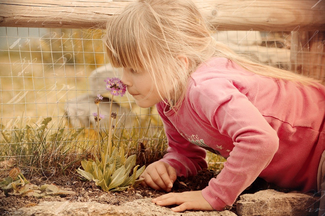Conheça Algumas das Plantas que Exalam Perfume