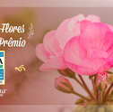 Giuliana Flores Ganha Prêmio ÉPOCA Reclame Aqui 2016