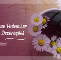 Plantas que Podem ser Usadas em Decorações
