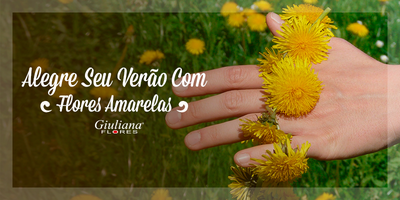 Flores Amarelas Alegre Seu Verão com Elas!