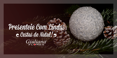 Cestas de Natal: Lindas Cestas para Presentear!
