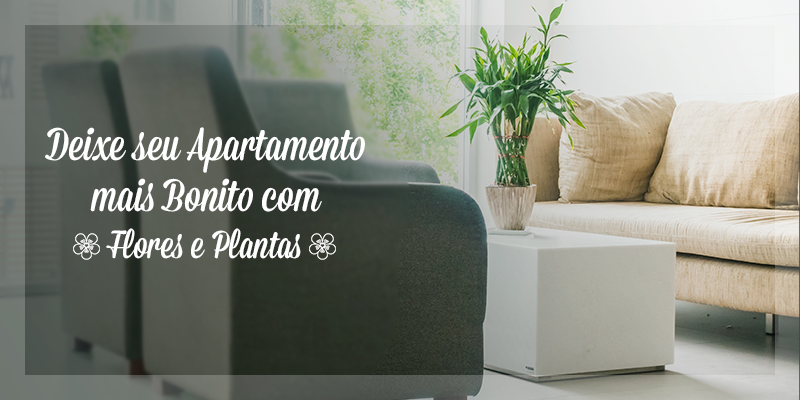 Flores Para Apartamento: Seu Cantinho Mais Bonito