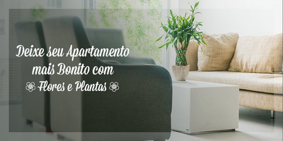 Flores Para Apartamento: Seu Cantinho Mais Bonito