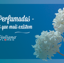 Flores Perfumadas – Conheça Quais Existem