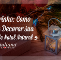 Pinheirinho: Como Cuidar e Decorar sua Árvore de Natal Natural
