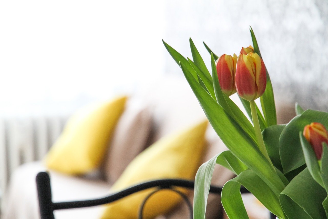 Flores Para o Quarto – Saiba Como Decorar