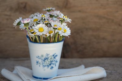 Flores Brancas Para o Réveillon para enfeitar a casa