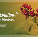 Vasos Criativos Para Suas Plantinhas!