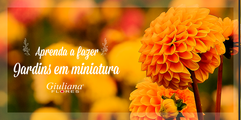Aprenda a Fazer Jardins em Miniatura
