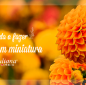 Aprenda a Fazer Jardins em Miniatura