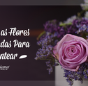Conheça as Flores Para Presentear Mais Usadas