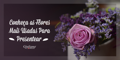Conheça as Flores Para Presentear Mais Usadas