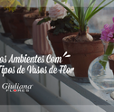 Decore os Ambientes com Diferentes Tipos de Vasos de Flor