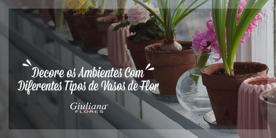 Decore os Ambientes com Diferentes Tipos de Vasos de Flor