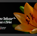Relaxe Com Rosas e Lírios