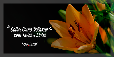 Relaxe Com Rosas e Lírios