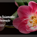 Tulipas para Casamentos: Dicas de Decoração