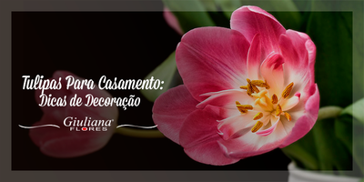 Tulipas para Casamentos: Dicas de Decoração