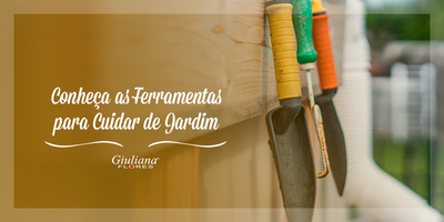 Conheça as Ferramentas para Cuidar de Jardim