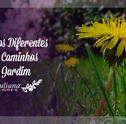 Conheça os Diferentes Pisos e Caminhos Para Jardim