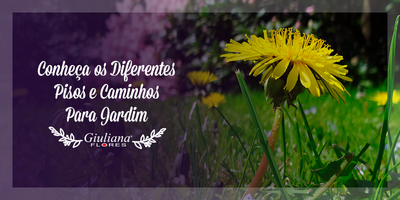 Conheça os Diferentes Pisos e Caminhos Para Jardim