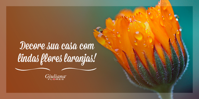 Decore Sua Casa com Lindas Fores Laranjas!