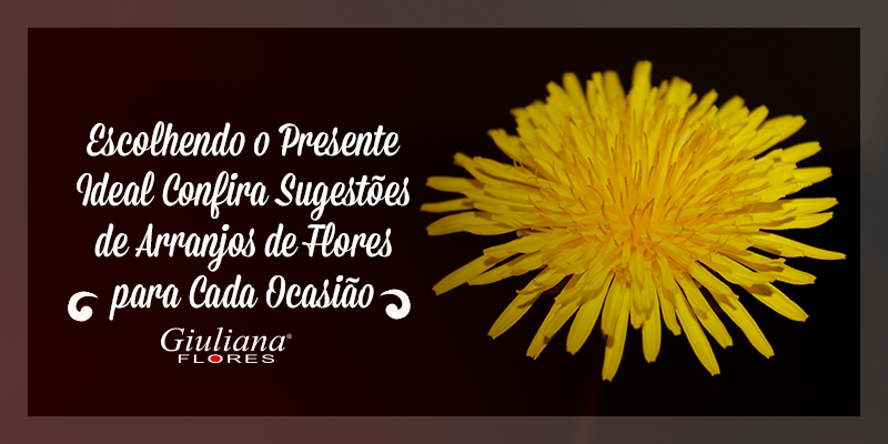 Escolhendo o Presente Ideal – Confira Tipos de Flores Ideais para Cada Ocasião