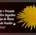 Escolhendo o Presente Ideal – Confira Tipos de Flores Ideais para Cada Ocasião