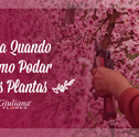Saiba Quando e Como Podar Plantas