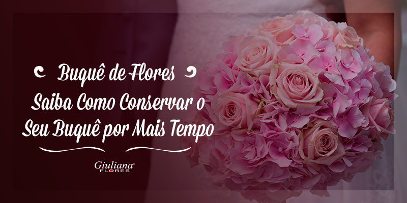 Saiba Como Conservar Rosas Por Mais Tempo