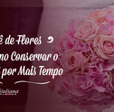 Saiba Como Conservar Rosas Por Mais Tempo