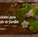Dicas Eficientes para Eliminar Mato do Jardim