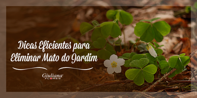 Dicas Eficientes para Eliminar Mato do Jardim