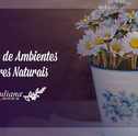 Decoração com Flores Naturais – Decore sua Casa