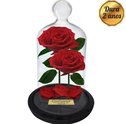 Conheça o Charme da Rosa Encantada da Giuliana Flores