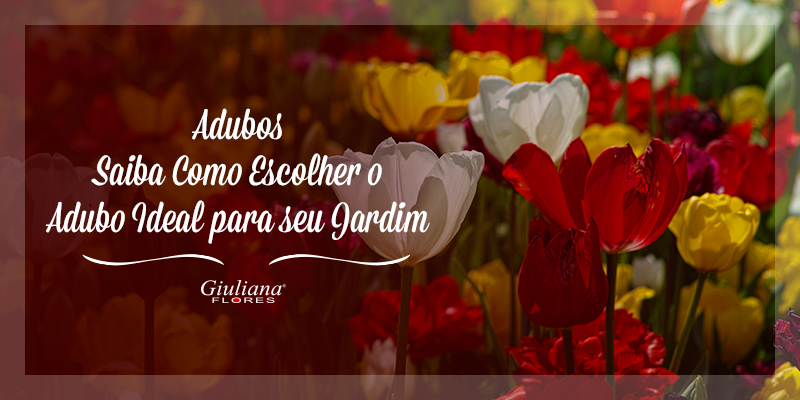 Adubos Para Plantas – Saiba Como Escolher o Melhor Para o Jardim