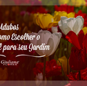 Adubos Para Plantas – Saiba Como Escolher o Melhor Para o Jardim