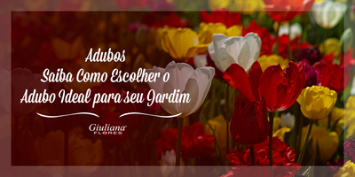 Adubos Para Plantas – Saiba Como Escolher o Melhor Para o Jardim