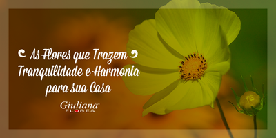 As Flores Trazem Tranquilidade e Harmonia para sua Casa