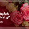 Conheça a nova Coleção Elegância das Rosas