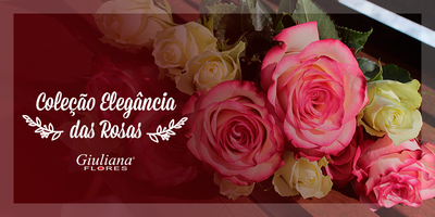 Conheça a nova Coleção Elegância das Rosas