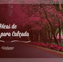 Dicas de Flores Para Plantar na Calçada