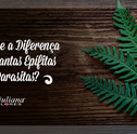 Você Sabe a Diferença entre Plantas Epífitas e Parasitas?