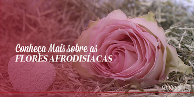 Conheça Mais Sobre as Flores Afrodisíacas