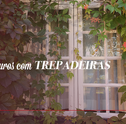Decore Muros com Trepadeiras