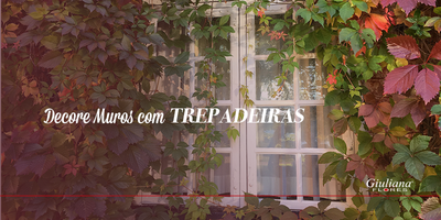 Decore Muros com Trepadeiras