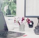 Flores para Escritório: Como Deixar o Espaço Elegante