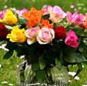 Dicas de Como Montar um Vaso de Flores
