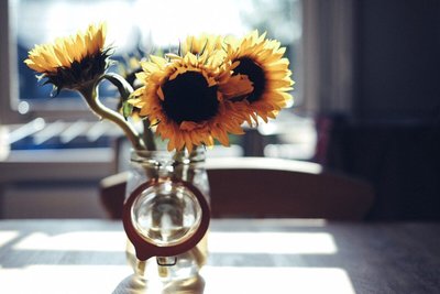 Saiba Como Escolher Seu Jarro de Flores